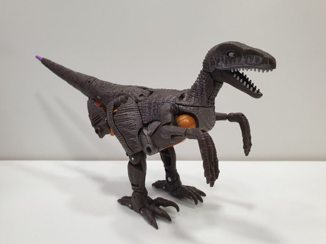 kingdom dinobot upgrade